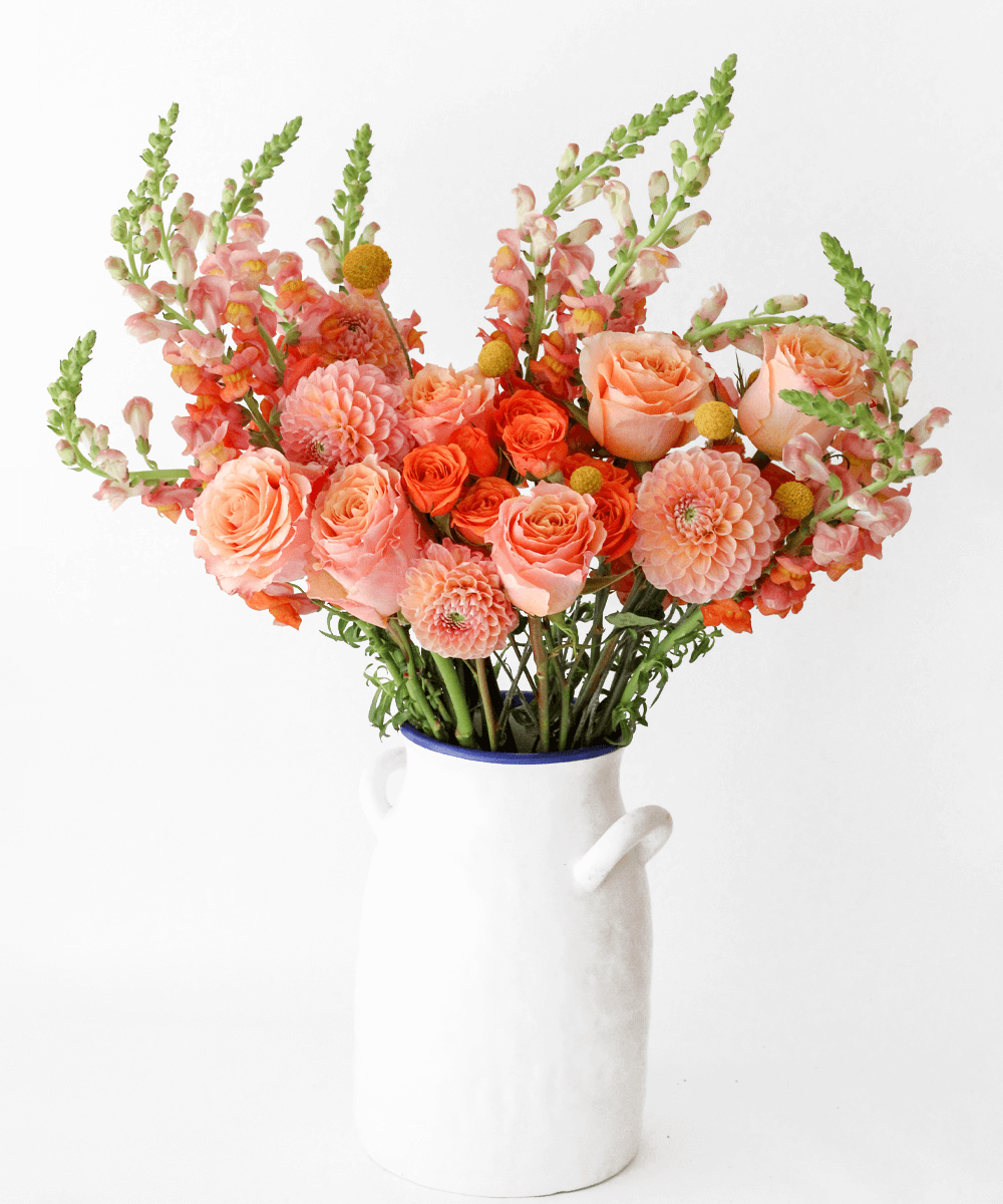THE CORAL KISSED