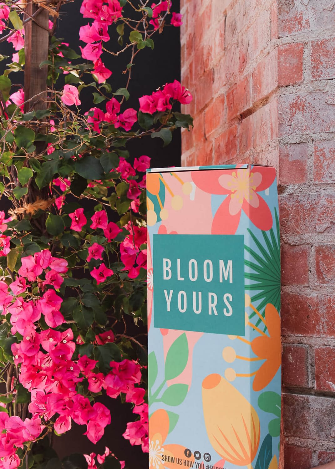 DIY Flower Arrangement Kits Online Flower Delivery BloomYours